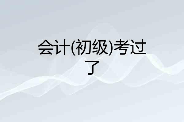 会计(初级)考过了