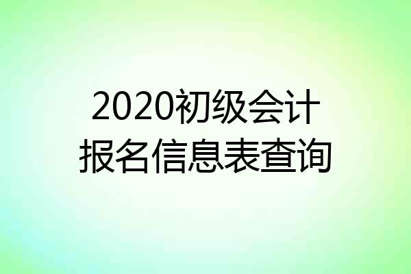 2020初级会计报名信息表查询