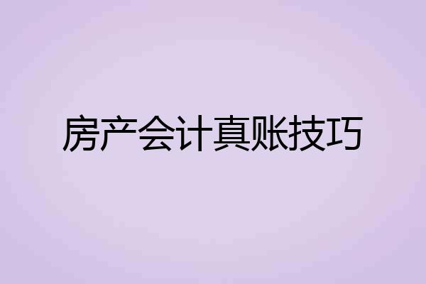 房产会计真账技巧