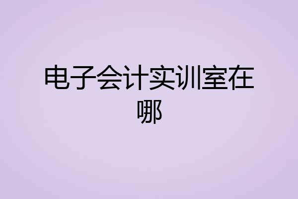 电子会计实训室在哪