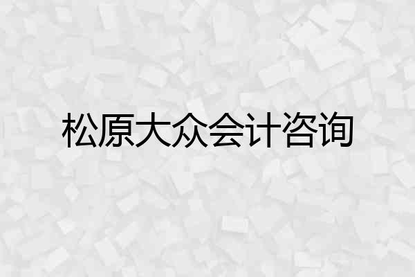 松原大众会计咨询