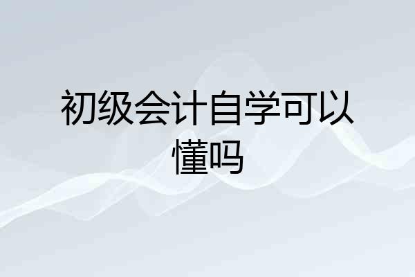 初级会计自学可以懂吗