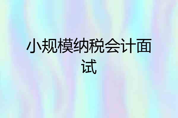 小规模纳税会计面试