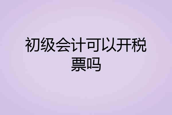 初级会计可以开税票吗