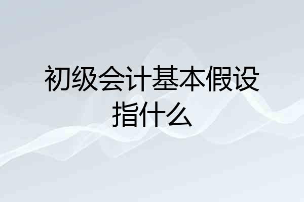初级会计基本假设指什么