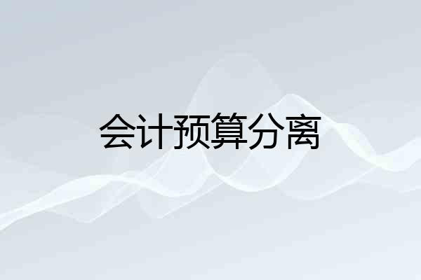 会计预算分离