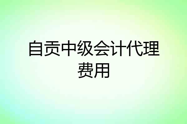 自贡中级会计代理费用