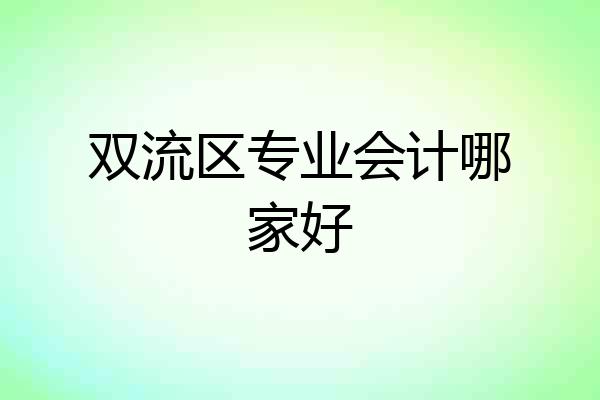 双流区专业会计哪家好