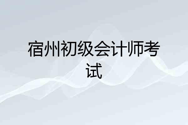 宿州初级会计师考试