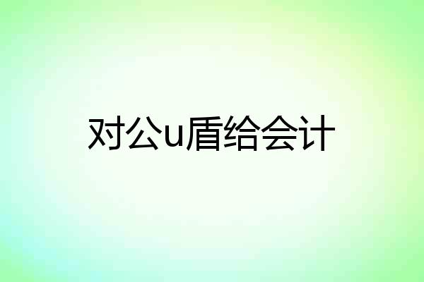 对公u盾给会计