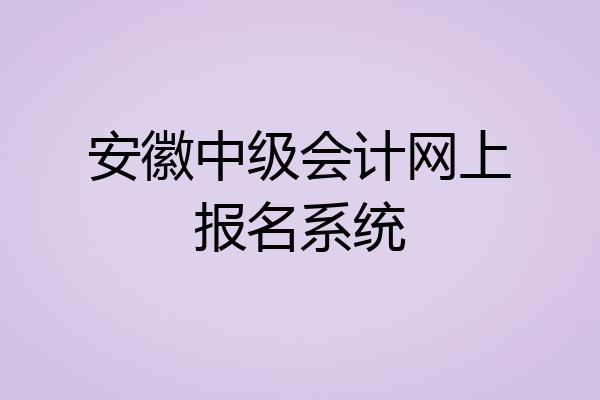 安徽中级会计网上报名系统