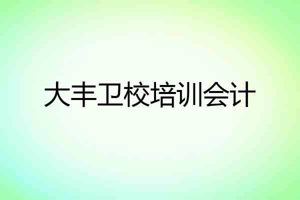 大丰卫校培训会计