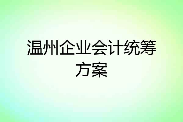温州企业会计统筹方案