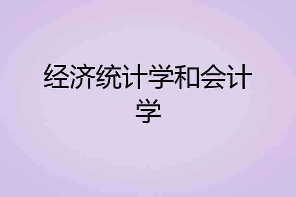 经济统计学和会计学