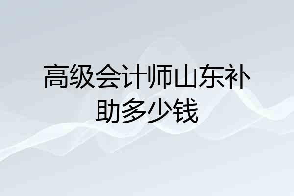 高级会计师山东补助多少钱