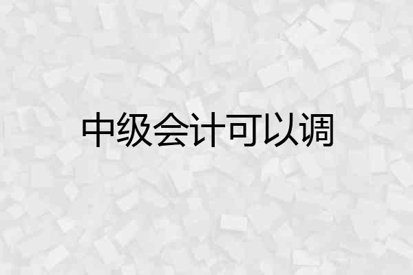 中级会计可以调