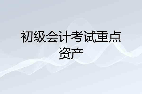 初级会计考试重点资产
