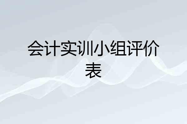 会计实训小组评价表