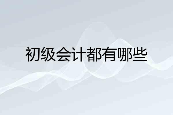初级会计都有哪些