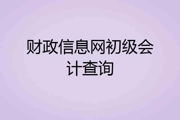财政信息网初级会计查询