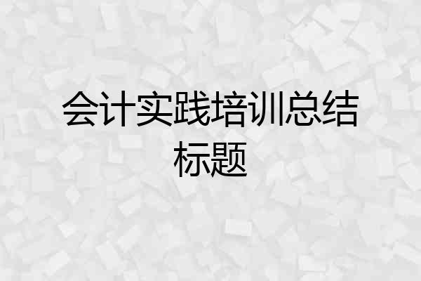 会计实践培训总结标题