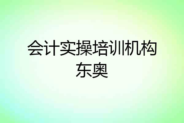 会计实操培训机构东奥