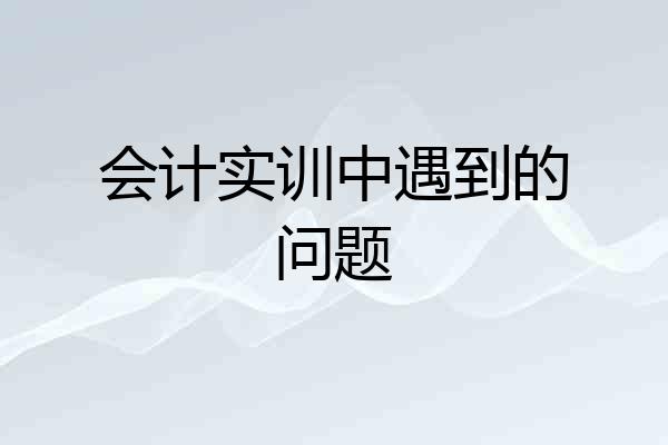 会计实训中遇到的问题