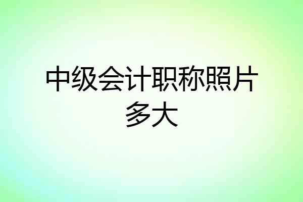 中级会计职称照片多大
