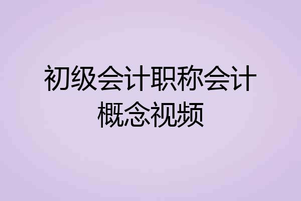 初级会计职称会计概念视频