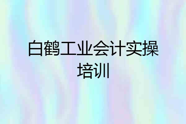 白鹤工业会计实操培训