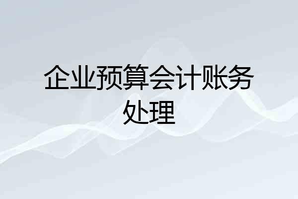 企业预算会计账务处理