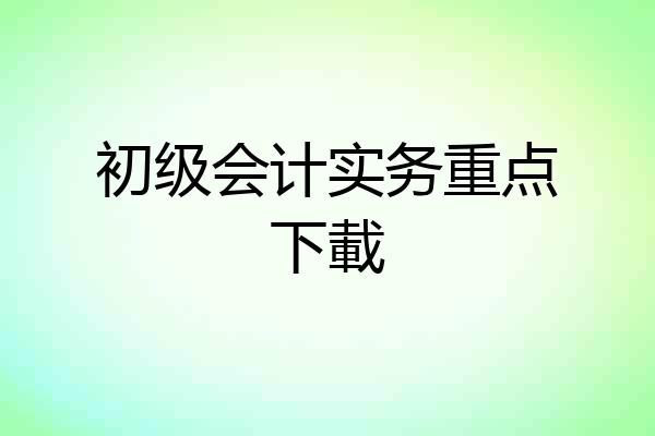 初级会计实务重点下載