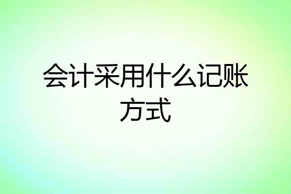 会计采用什么记账方式