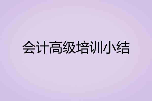 会计高级培训小结