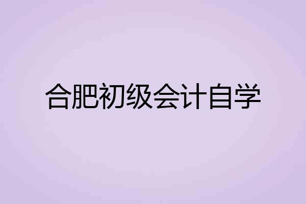 合肥初级会计自学