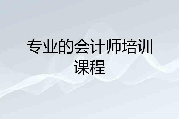 专业的会计师培训课程