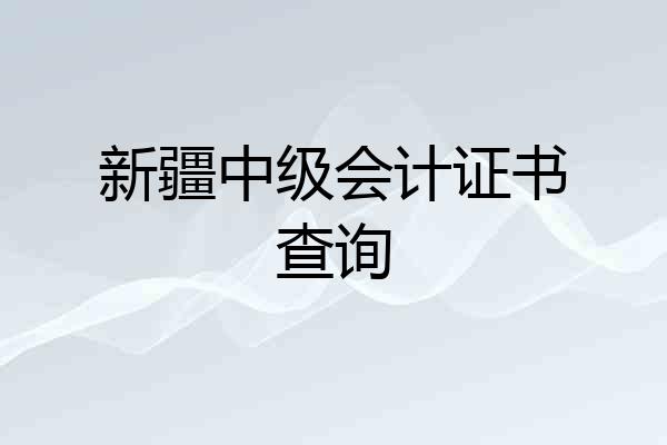 新疆中级会计证书查询