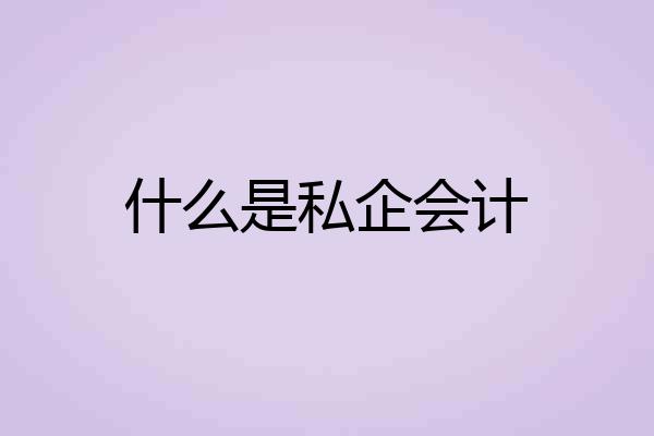 什么是私企会计