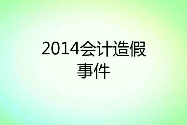 2014会计造假事件