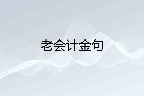 老会计金句