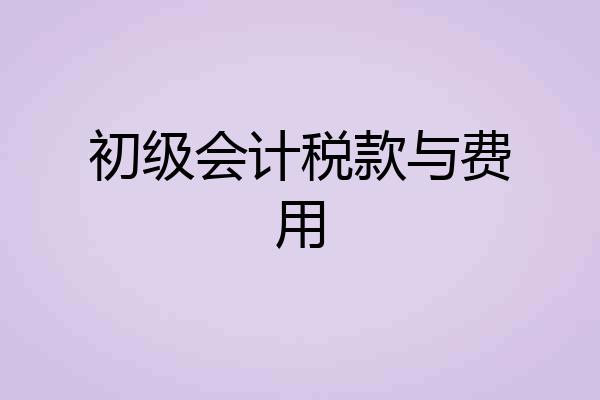 初级会计税款与费用