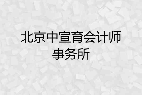 北京中宣育会计师事务所