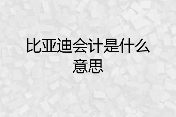 比亚迪会计是什么意思