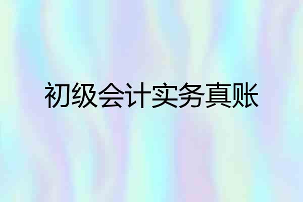 初级会计实务真账