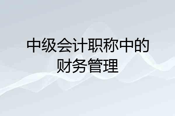 中级会计职称中的财务管理