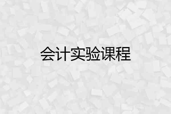 会计实验课程