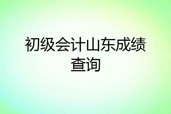 初级会计山东成绩查询