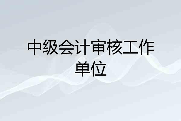中级会计审核工作单位