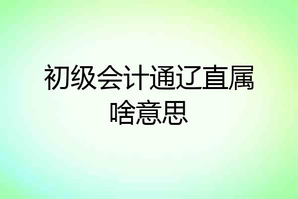初级会计通辽直属啥意思