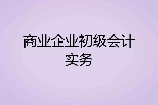 商业企业初级会计实务